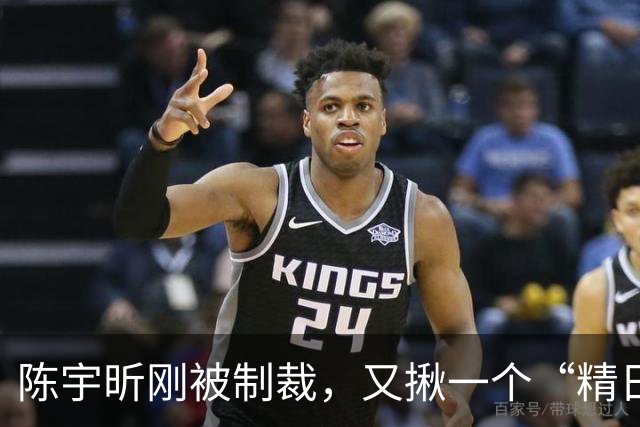 陈宇昕刚被制裁，又揪一个“精日”人员：竟然还是本土企业老板